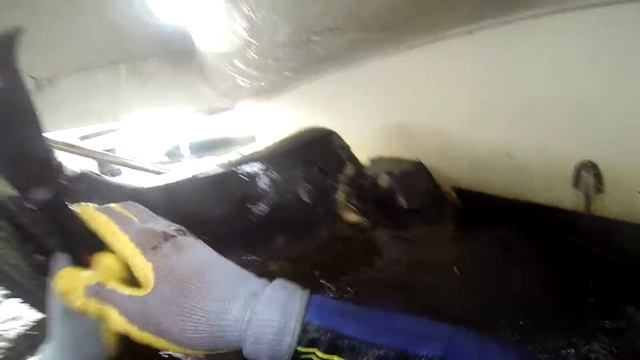 Espresso Oyster Removal смотреть онлайн