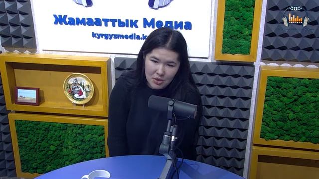 Кризистик борборлордун ишмердүүлүгү смотреть онлайн