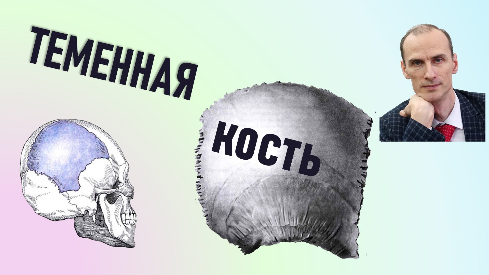 Теменная кость. Строение теменной кости смотреть онлайн