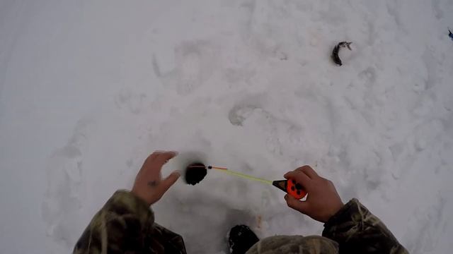 РЫБАЛКА/МАРТ/ХАРИУС/ЩУКА НА ЖЕРЛИЦУ ПРОВЕРКА ПЕРЕМЁТА НА НАЛИМА.. смотреть онлайн