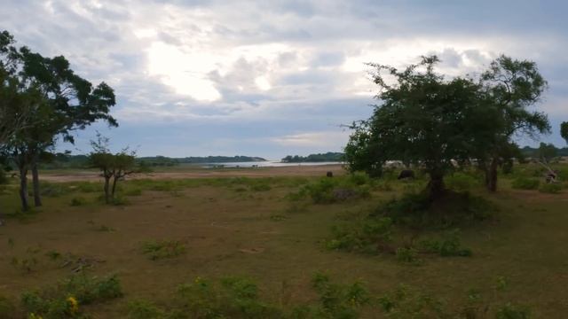 СБЕЖАЛИ С ШУМНОЙ ШРИ-ЛАНКИ. ТЕПЕРЬ ЖИВЁМ В ПАЛАТКЕ смотреть онлайн