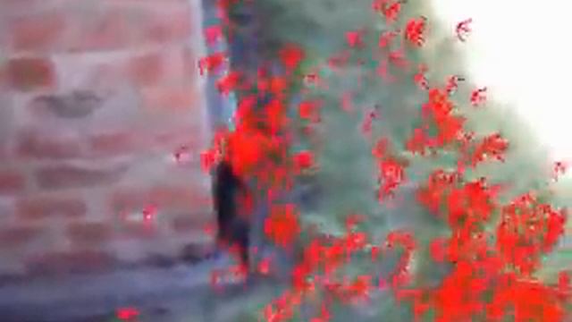 OpenCV feature tracking using mobile GPU-based mobo смотреть онлайн