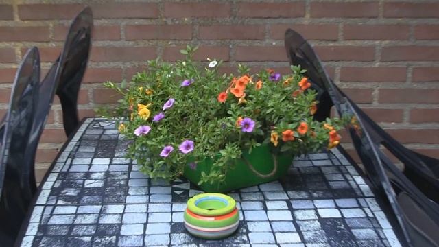 Canon Legria HF M406 Test Footage! #1 смотреть онлайн