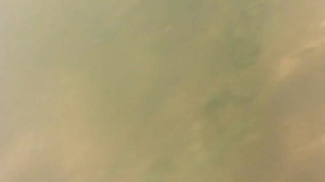 Шахматная змея в реке Кушугум смотреть онлайн