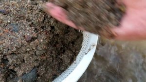 Я НАШЕЛ РЕКУ УЖАС СКОЛЬКО ТАМ БЫЛО ЗОЛОТА_