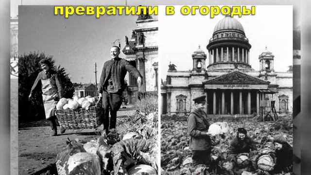 Страницы истории "Спасение зоосада. Тихий подвиг Ленинграда". смотреть онлайн