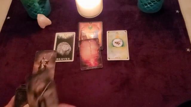 ?What Are They Doing? ??Pick a Card Reading смотреть онлайн