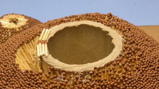 ЧТО БУДЕТ,ЕСЛИ ПОДЖЕЧЬ ВУЛКАН ИЗ 50000 СПИЧЕК. смотреть онлайн