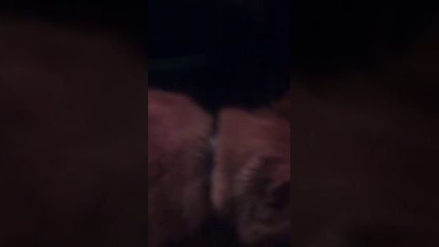 Первый клип ( снимали на даче и следующий будет лучше на много ) смотреть онлайн