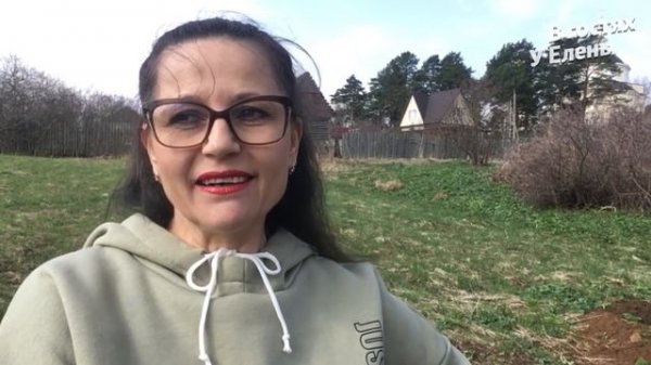 Популярные сорта КИЗИЛА. Подробности о посадке и уходе. Крупноплодный сорт Семён.