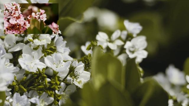 Что такое дальтонизм? Как видят мир дальтоники? What Is Daltonism?