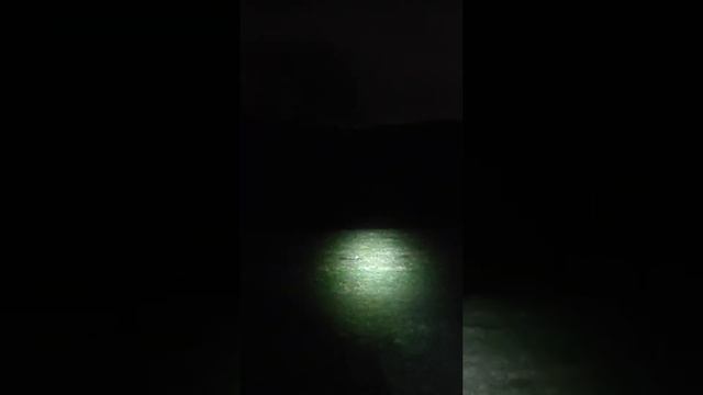 a bit of target practice in the night with the sling. 8mm steel #catapult #slingshot смотреть онлайн