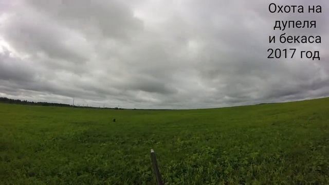 Охота на дупля и бекаса с легавой смотреть онлайн