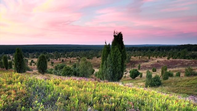 Вдовец, вернувшись в глухую деревню, услышал звук из колодца, а когда увидел свою точную копию… смотреть онлайн
