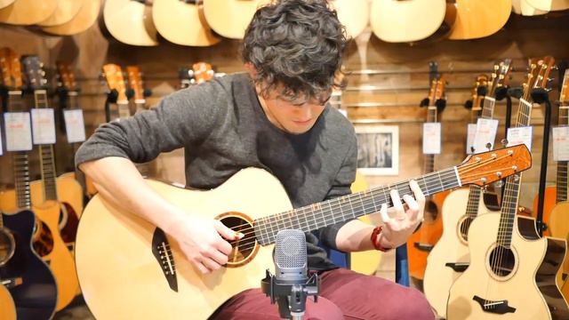 MICHAEL BASHKIN : Placencia Cutaway (OM) (Madagascar Rosewood) смотреть онлайн