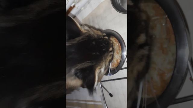 Завтрак кота, д-405 Вермишель,  влажный корм для кошек