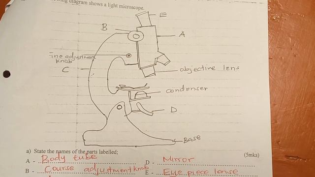 Biology Form 1 exam questions and answers ❤️❤️ Biology Revision смотреть онлайн