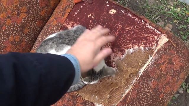 КОТ ДЛЯ ШАУРМЫ 5 смотреть онлайн