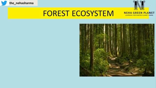 EVS - UNIT 2 - ECOSYSTEM смотреть онлайн