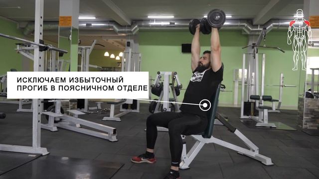 Жим гантелей сидя смотреть онлайн