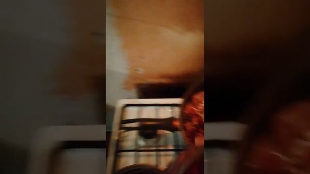 Птичья планета! 2 часть. Готовим куриц бройлеров в брусничном соусе! смотреть онлайн