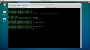 v20.12 Утилита dd - конвертация текста и копирование файлов.