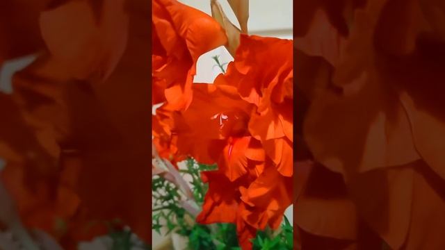 Гладиолусы. Практическая магия. смотреть онлайн
