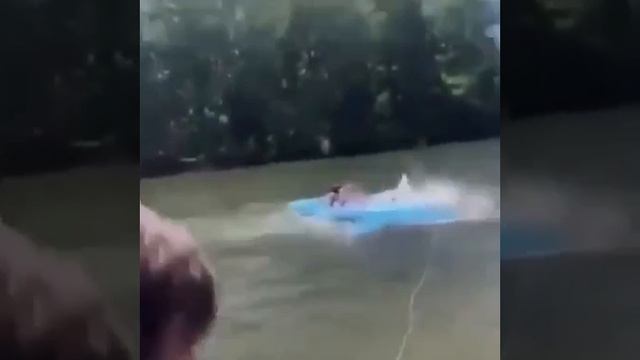Точно в цель 🤣 смотреть онлайн