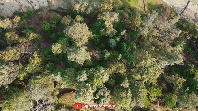 Jungle Drone Video #free #freetouse #nepalivlog смотреть онлайн