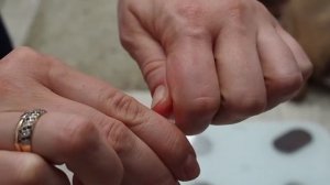 Как обработать собаку или кошку от блох и клещей "каплями на холку"