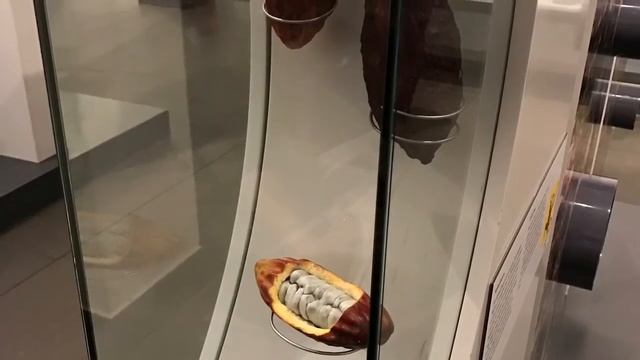 Новый год в Кёльне: музей шоколада, и не только! смотреть онлайн