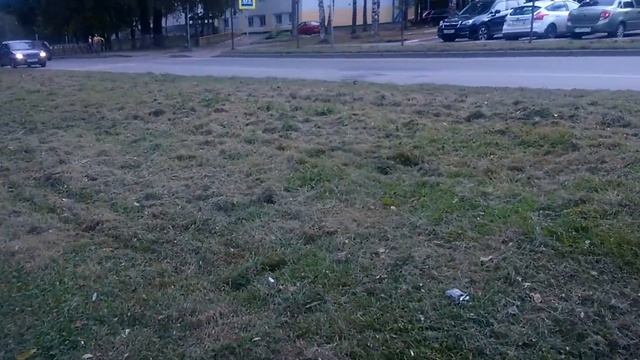 Иду в гости к папе и расскждаю смотреть онлайн