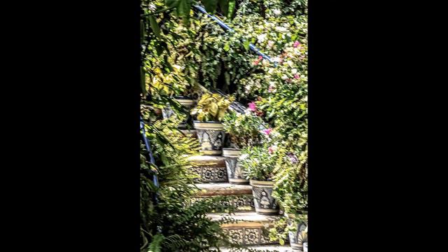 Toller Cranston House смотреть онлайн
