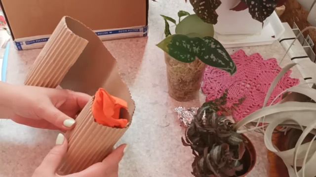 Посылка с сюрпризом то Гали. 😲 смотреть онлайн