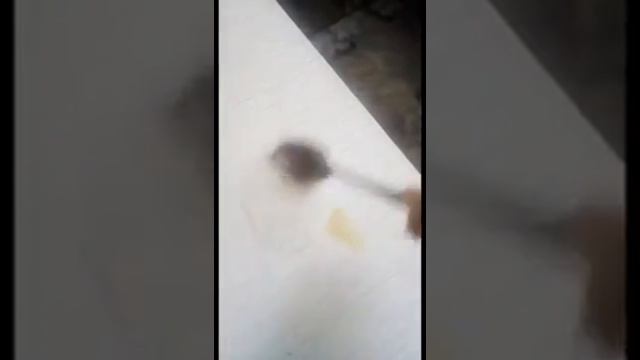 тест-драйв оксихит Тианде смотреть онлайн