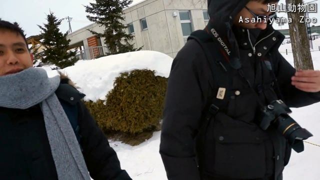 北海道 ~ Hokkaido Winter Trip 2016 смотреть онлайн