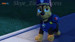 💓Гонщик и Скай 💓(Голос) ~Для канала paw patrol~💓Chase x Skye💓