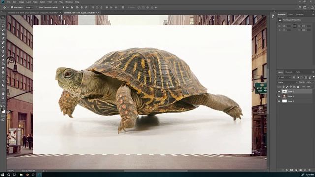 PS - Fast moving turtle смотреть онлайн
