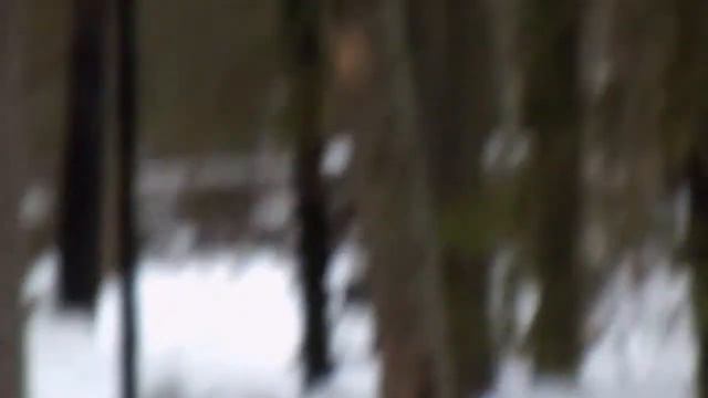 Копки 2012, кабан смотреть онлайн