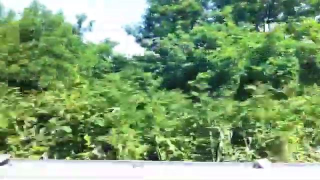 Путешествие в Магри