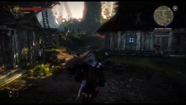 Let's Play Witcher 2 Blind Part 6 (2/2) - Woodland Adventures