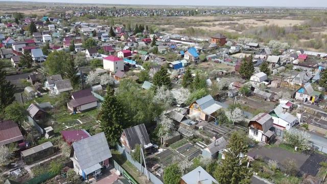 9229287 смотреть онлайн