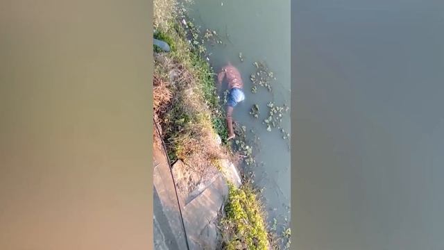 KANGLA PAT TA MEEOI AMA SIRAMLE смотреть онлайн