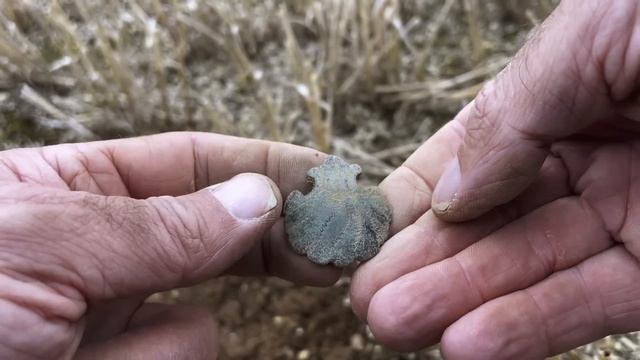 AMAZING Metal Detecting in the UK with the XP Deus 2! смотреть онлайн