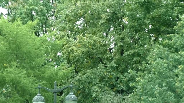 Антон Авдеев - 