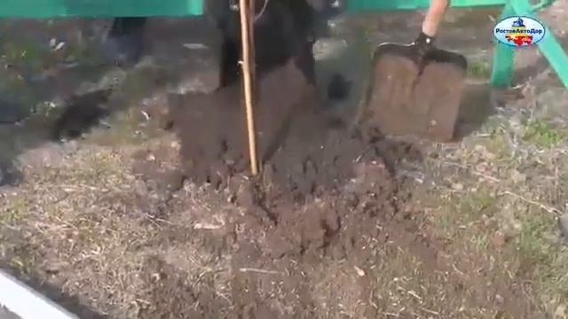 Высадка берез в хуторе Береговой смотреть онлайн