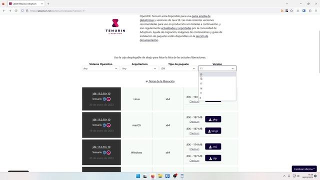 Instalar Java 21 o versiones anteriores en Windows mediante Temurin смотреть онлайн