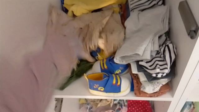 VLOG/прогулка с реборном Луи? смотреть онлайн