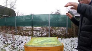 1)-ПРОБЛЕМА с пчелами в рогатом улье