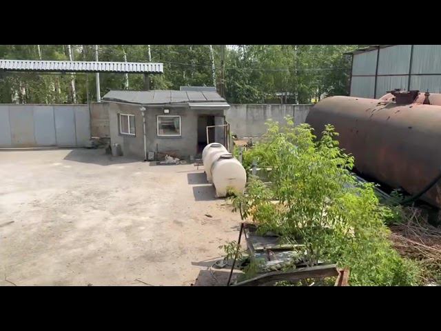 1 июля 2024 г.